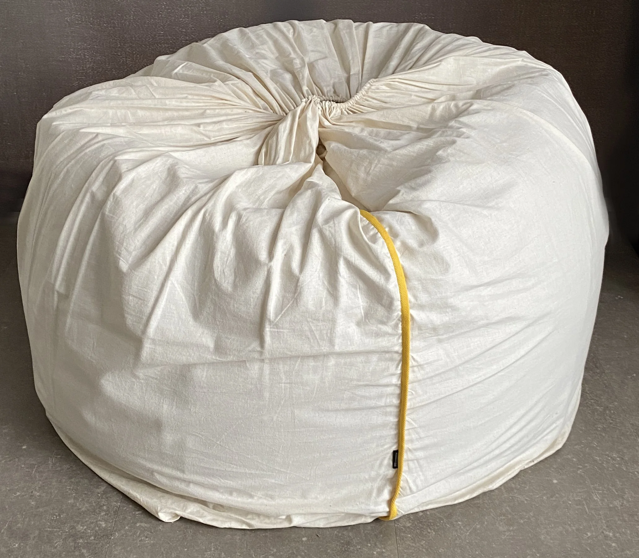 FizzArrow Sample bean bag - 1.JPG
