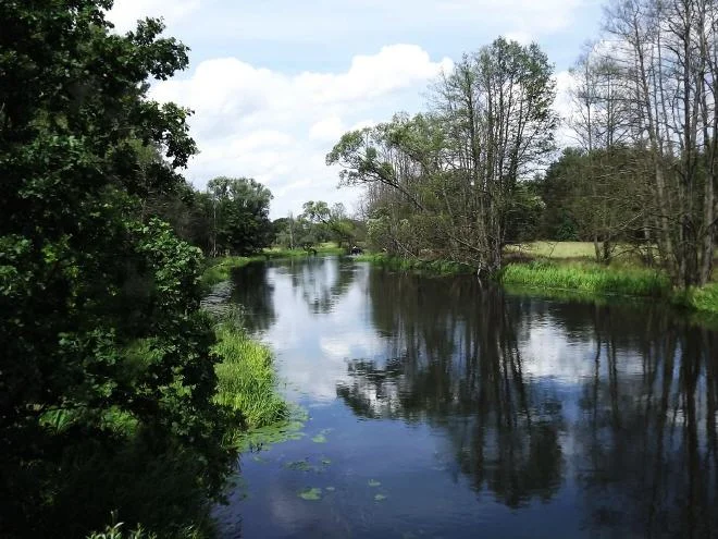 660_gasthaus-paesch-spreenhagen-flossfahrt-fluss.jpg