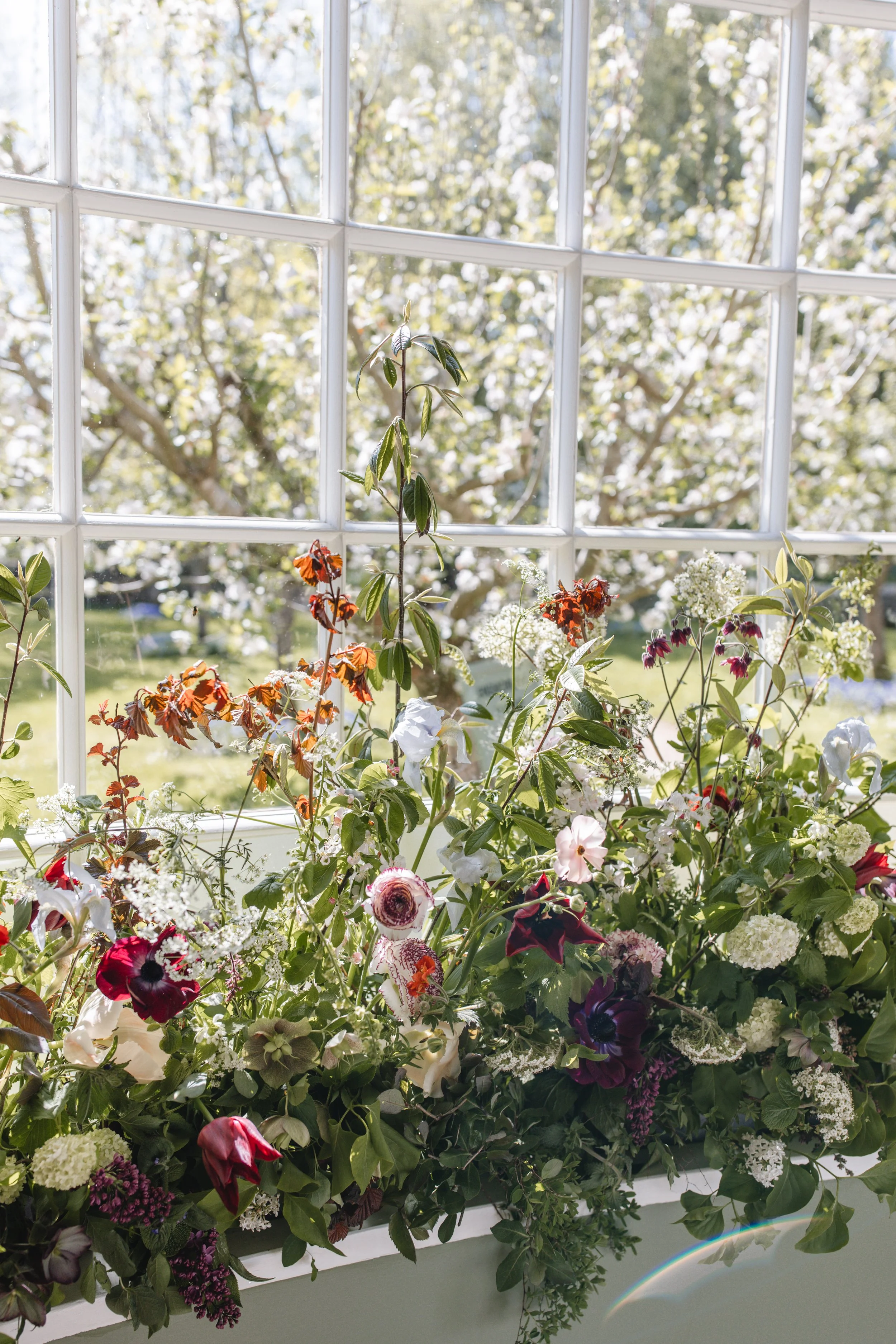 Sanderson x Highgrove