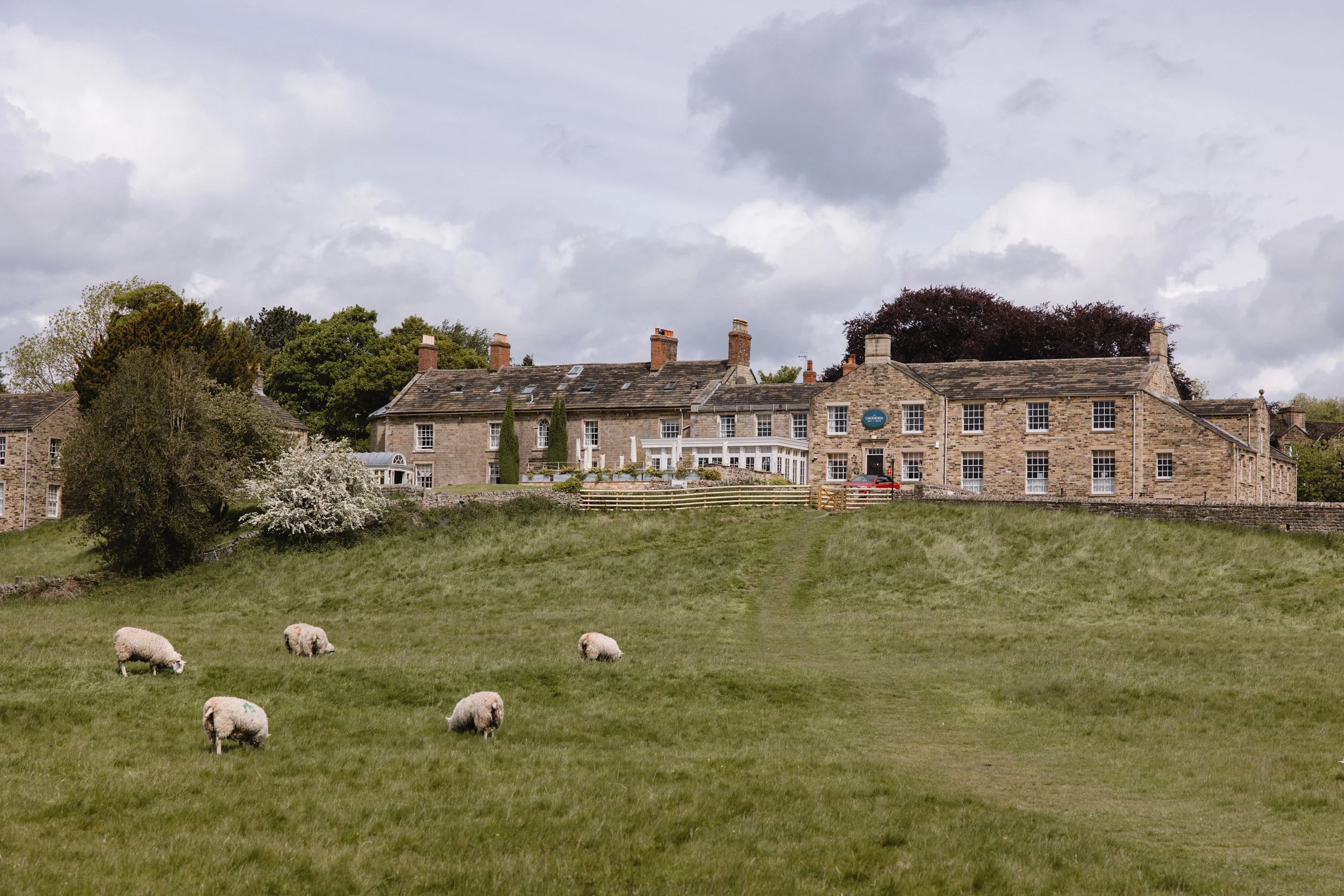 Cavendish - Chatsworth 