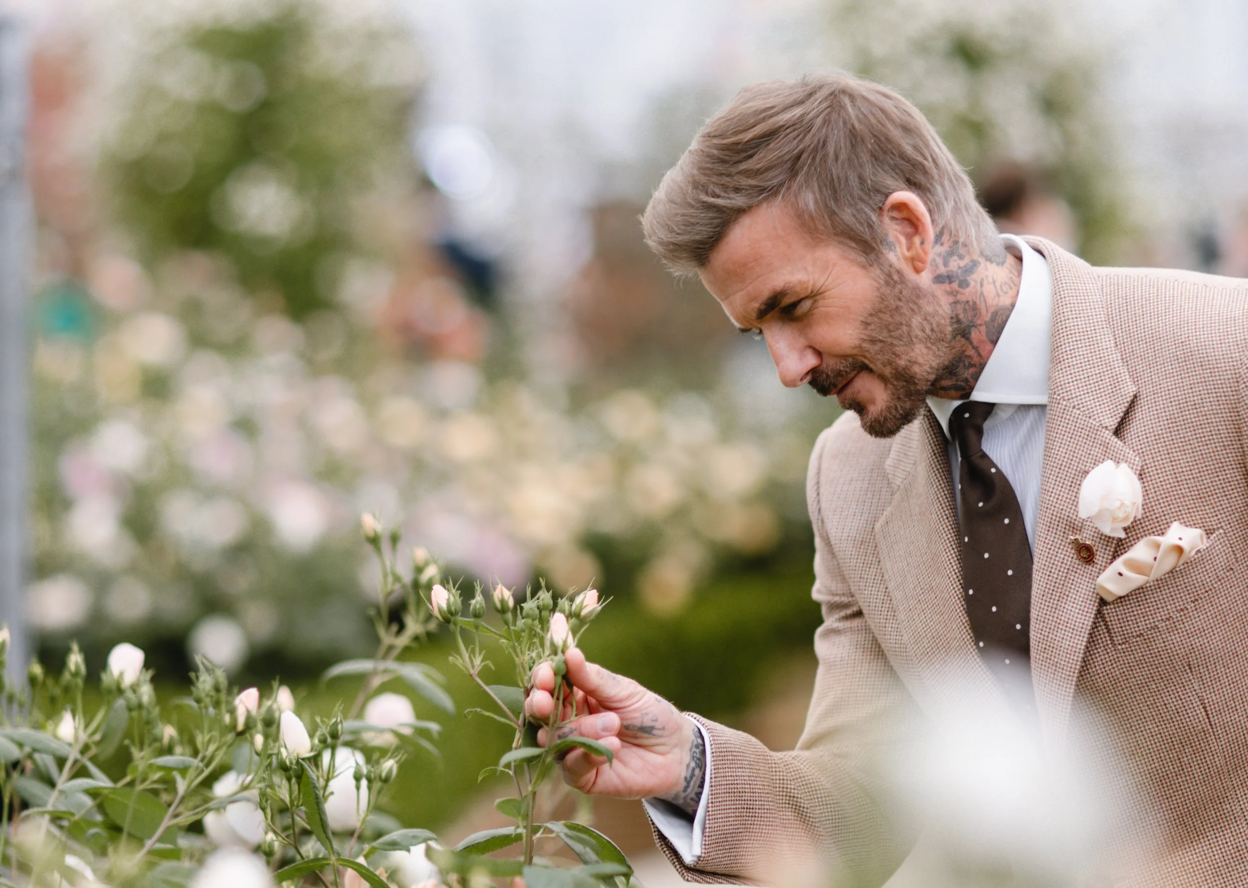DBDA-18.jpg