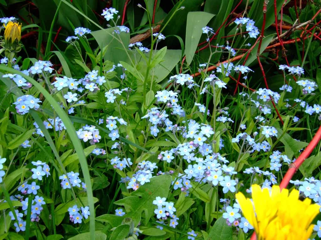 2007_05250014.jpg