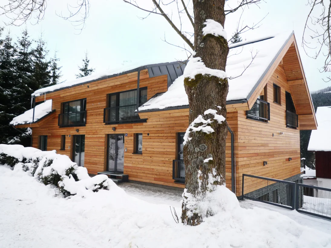 pohled na hlavní vstupy.JPG