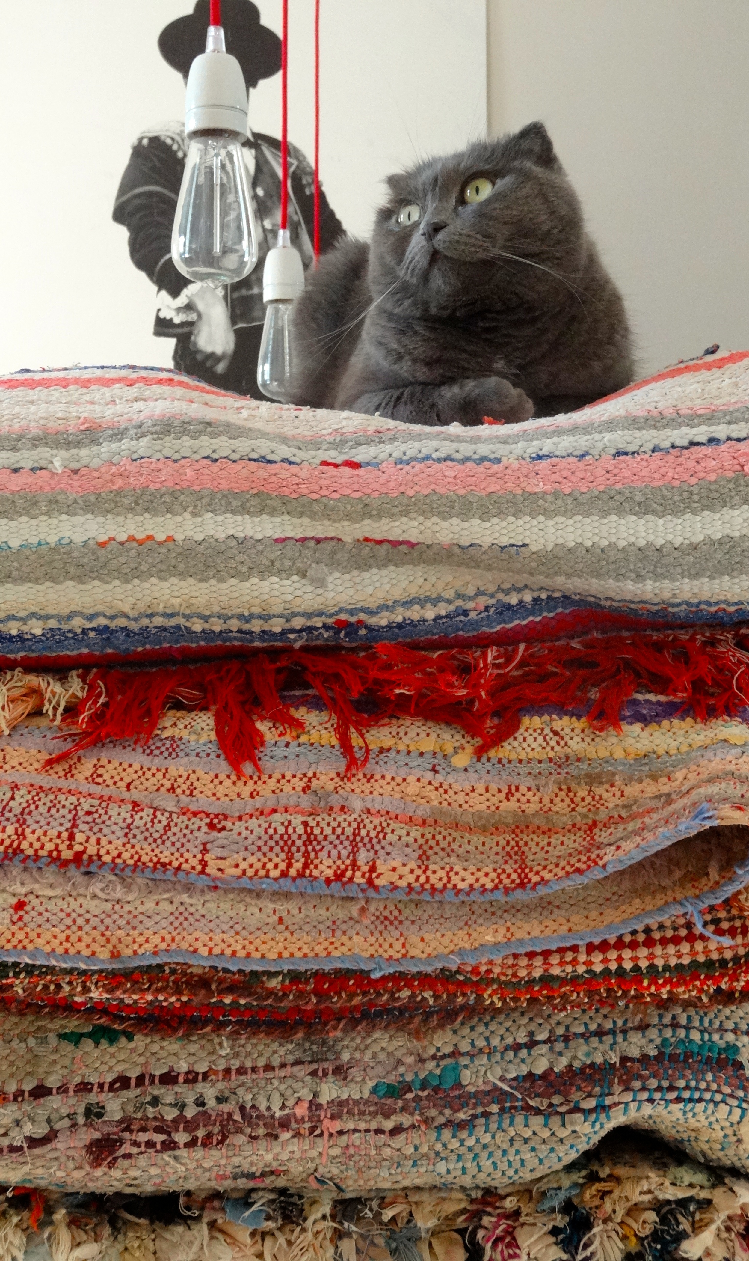 Tartine sur sa pile de tapis Boucharouette