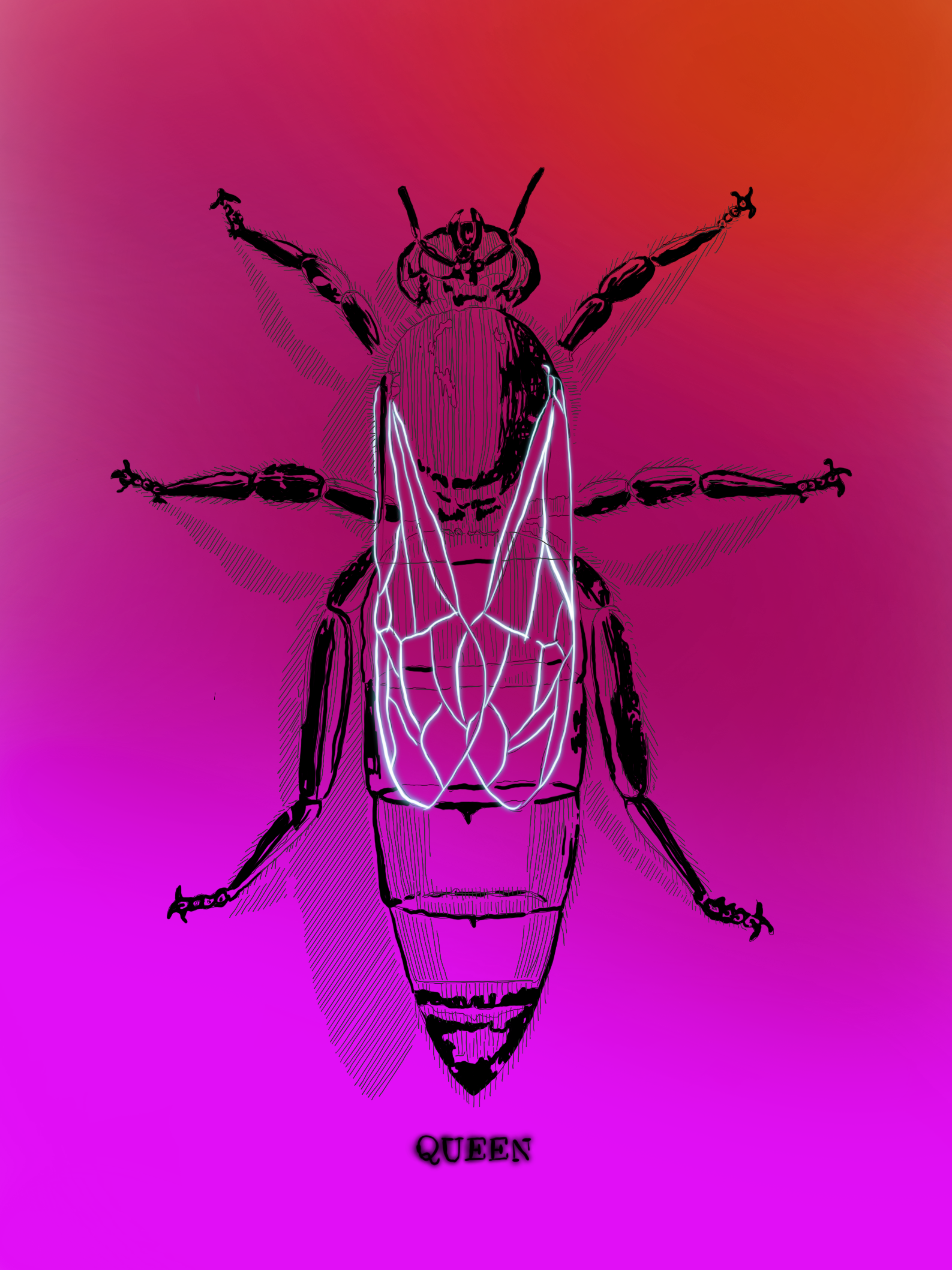 IMG_1356.png