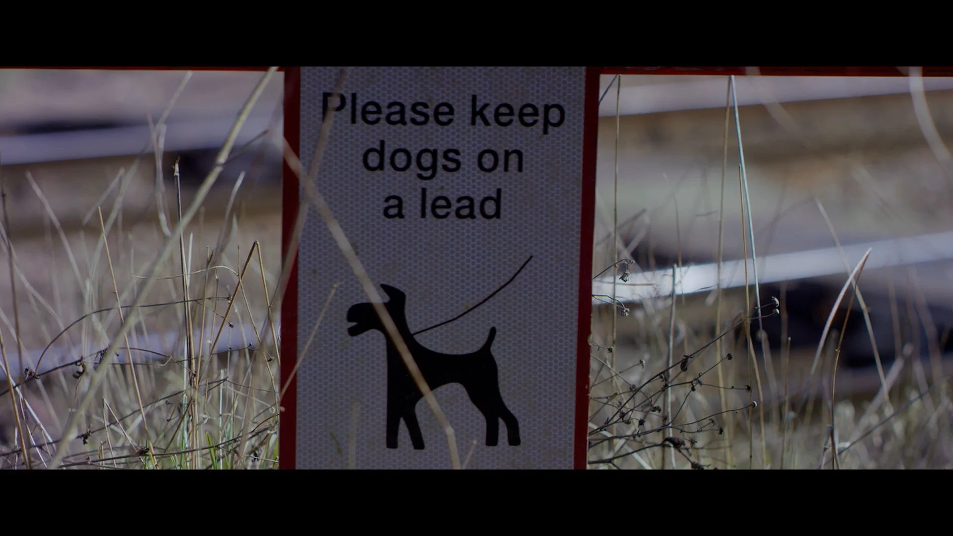 3927P Network Rail - Dogwalking Level Crossing-HD MP4.00_00_55_23.Still015.jpg
