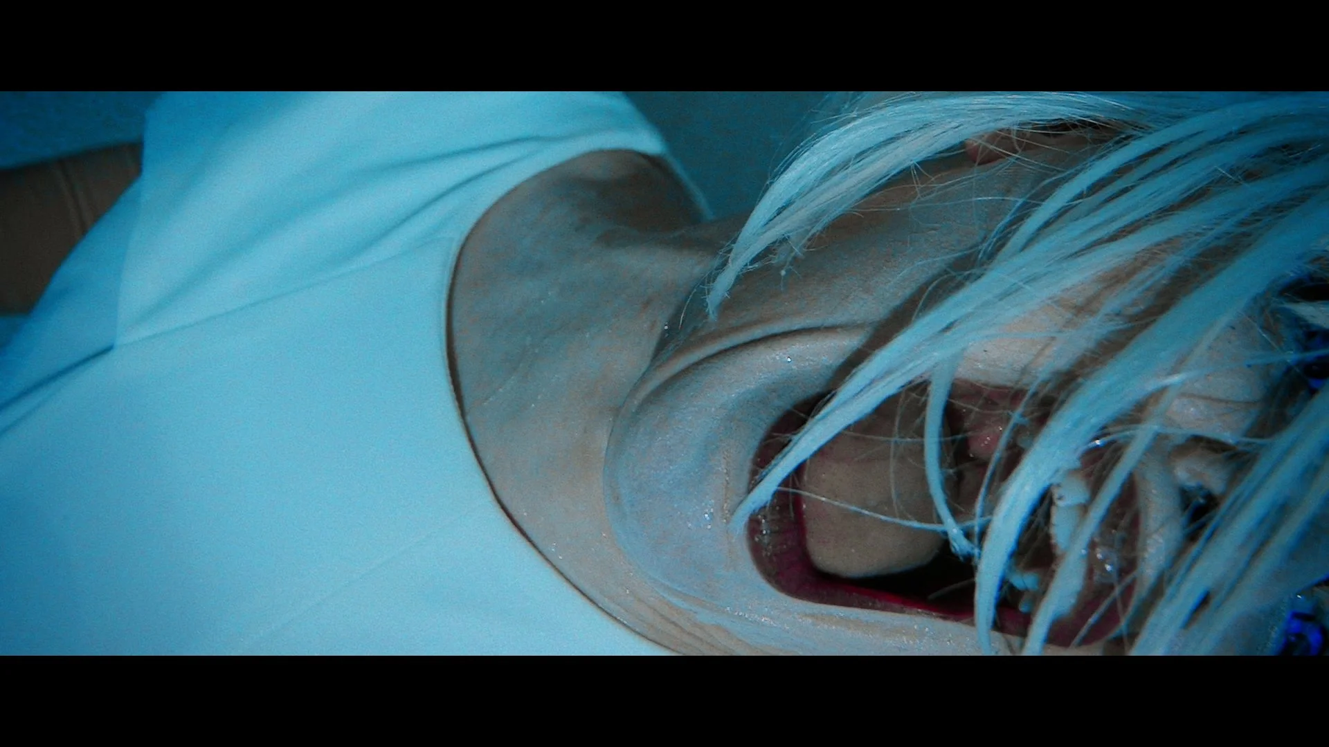 Josh Hoyer & Soul Colossal - NATURAL (music video).00_02_57_06.Still052.jpg
