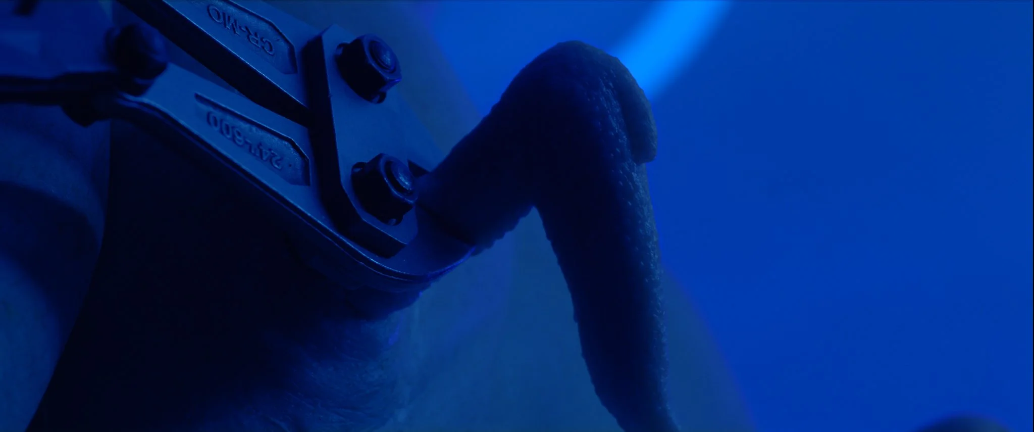 NEON Still 135.jpeg