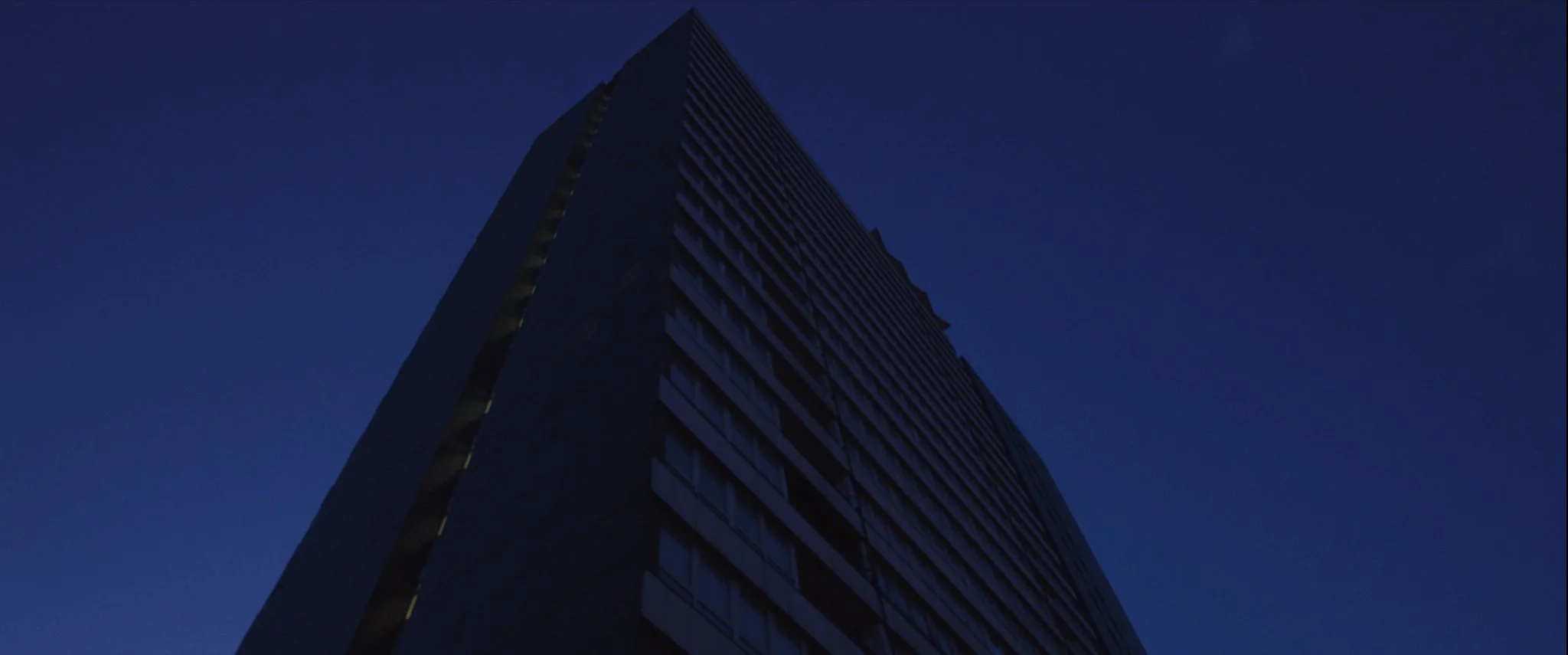 NEON Still 41.jpeg