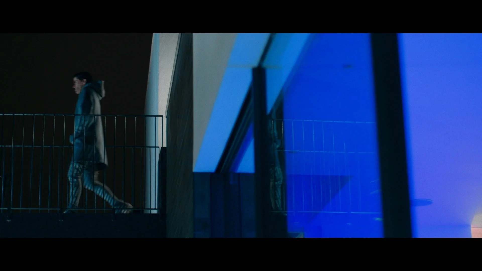 Josh Hoyer & Soul Colossal - NATURAL (music video).00_01_49_08.Still039.jpg