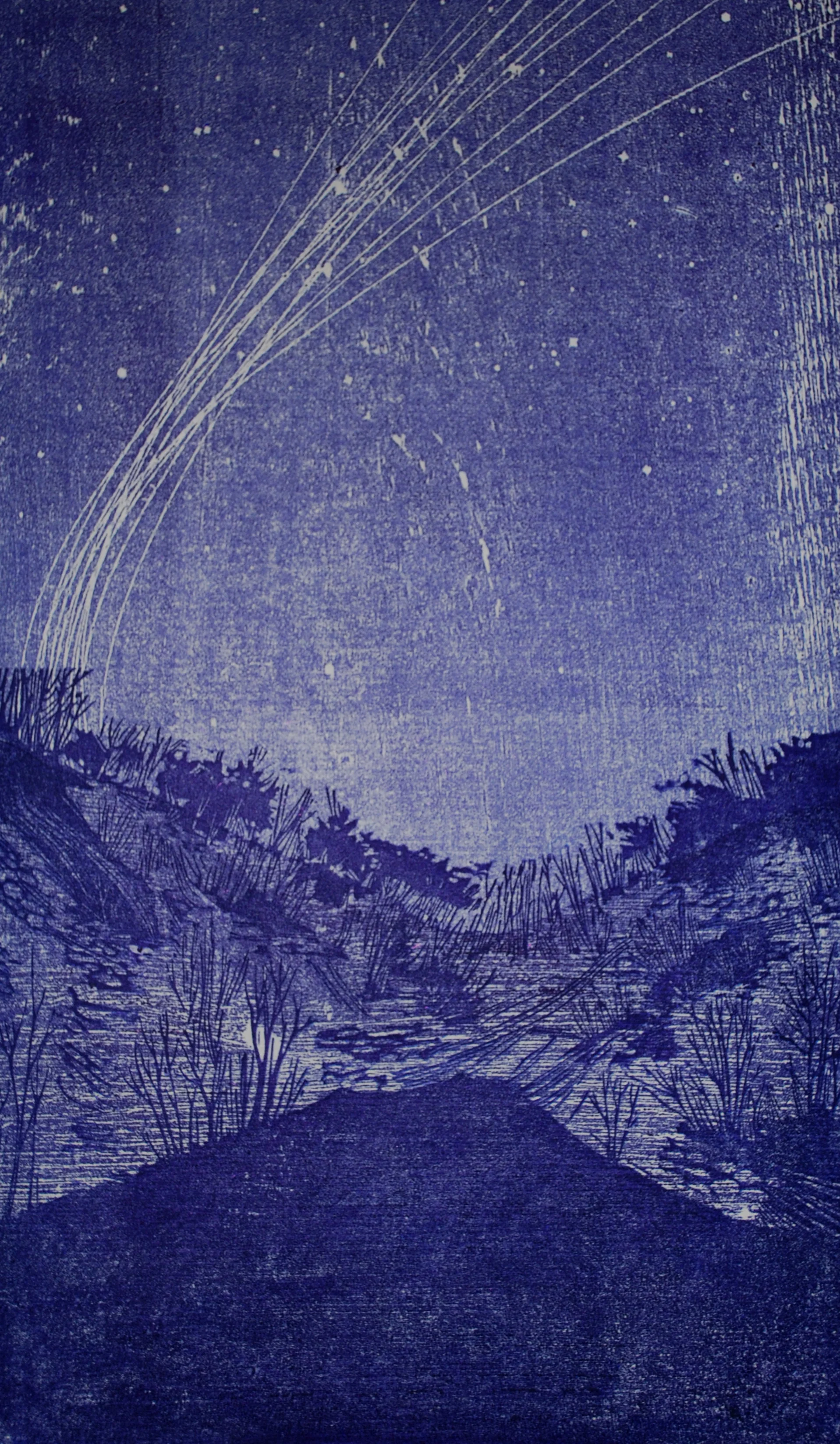   Solstice,&nbsp; woodblock print, 15 x 8 inches. 2014 