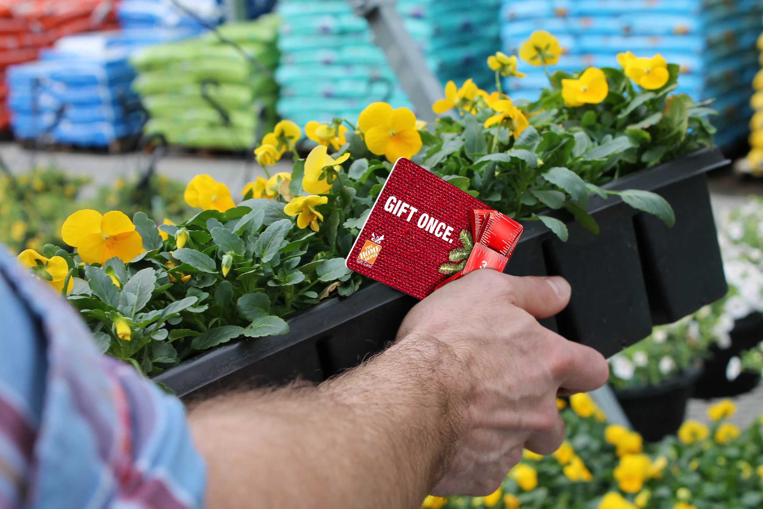Holiday gift card, (2015)