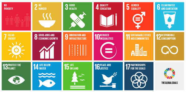  Reputation Dynamics supports the SDG's.