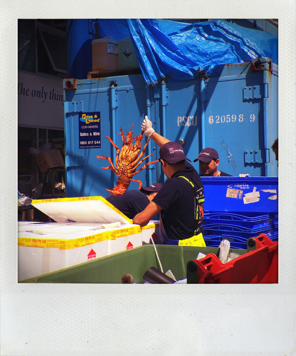 Sydney Fish Market