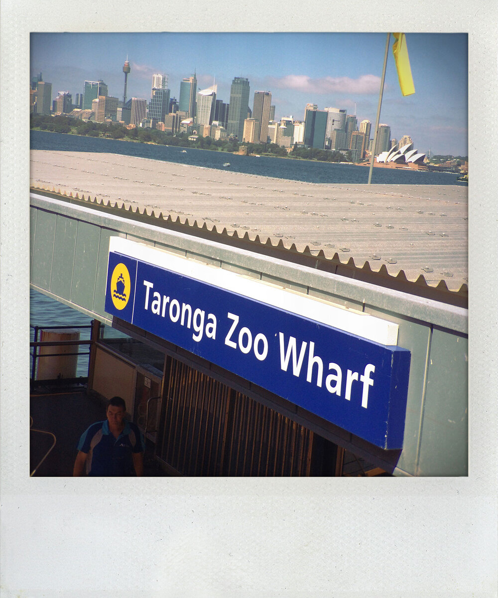 Taronga Zoo Wharf