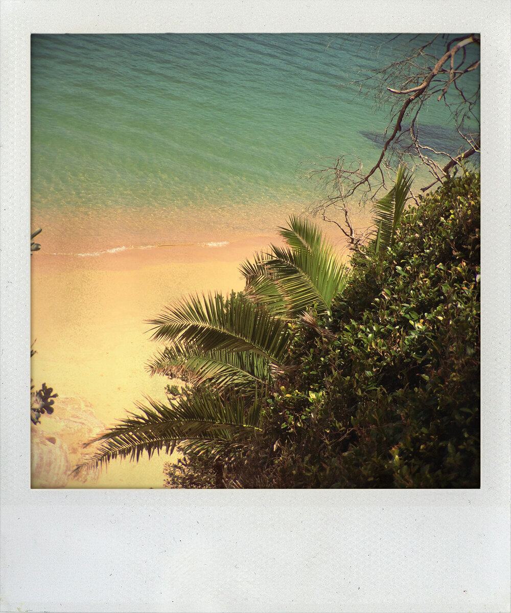 Sandy Bay, The Spit to Manly Walk