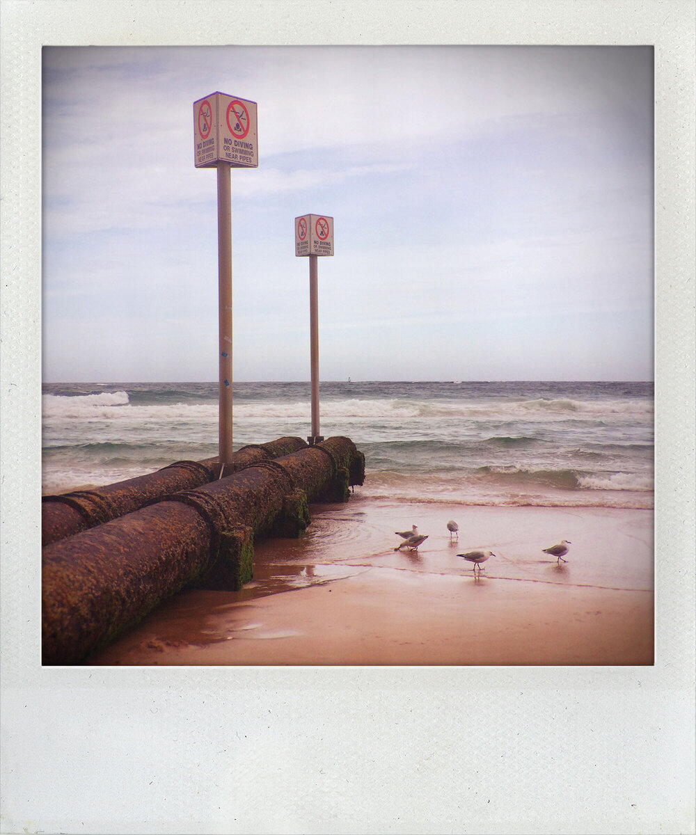 Manly Beach, Südpazifik