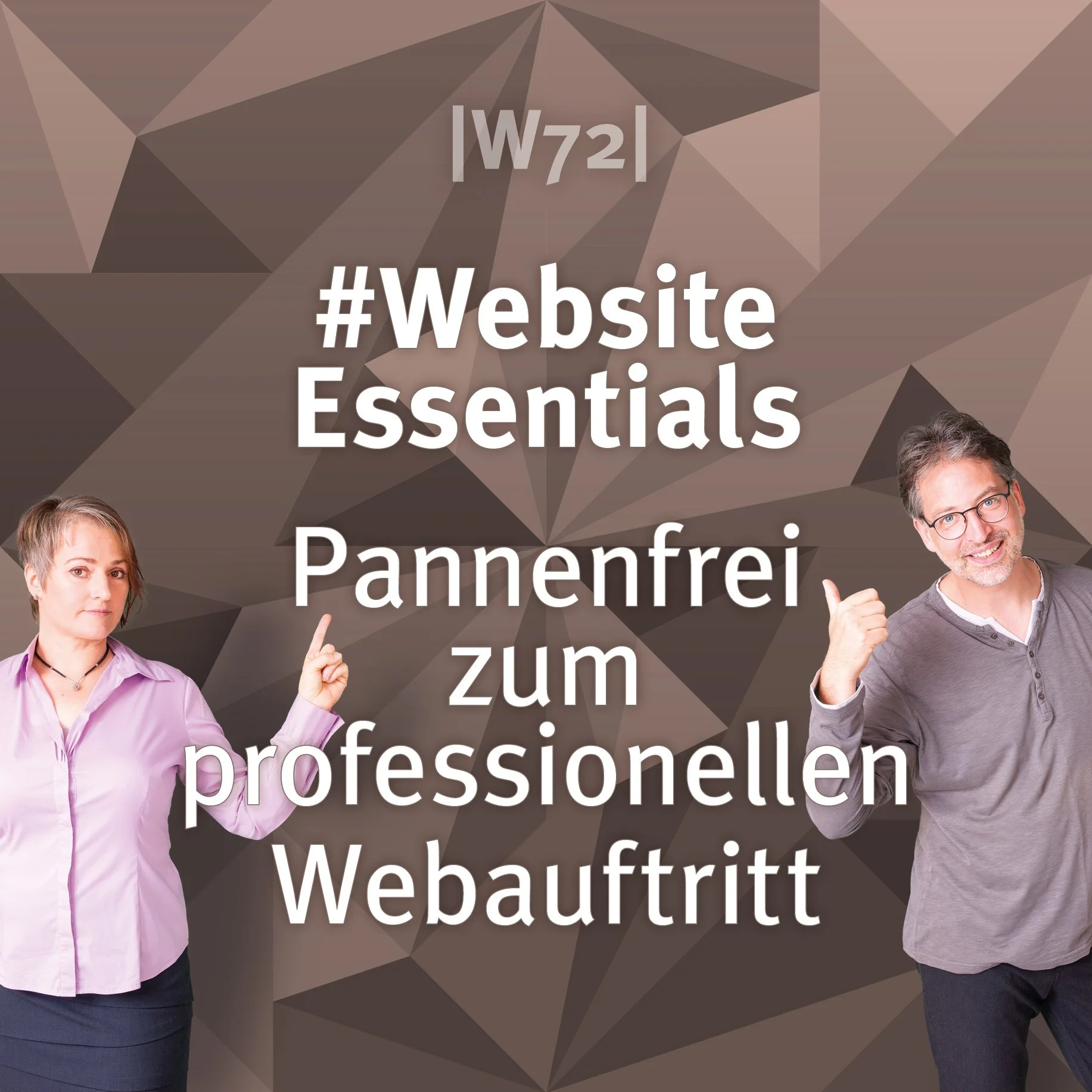 Pannenfrei zum professionellen Webauftritt