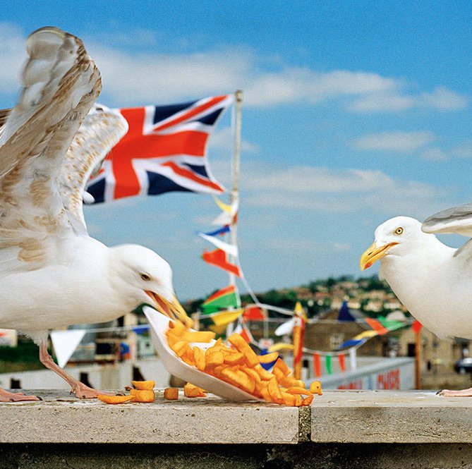 Fotografisches Souvenir von Martin Parr – Retrospektive