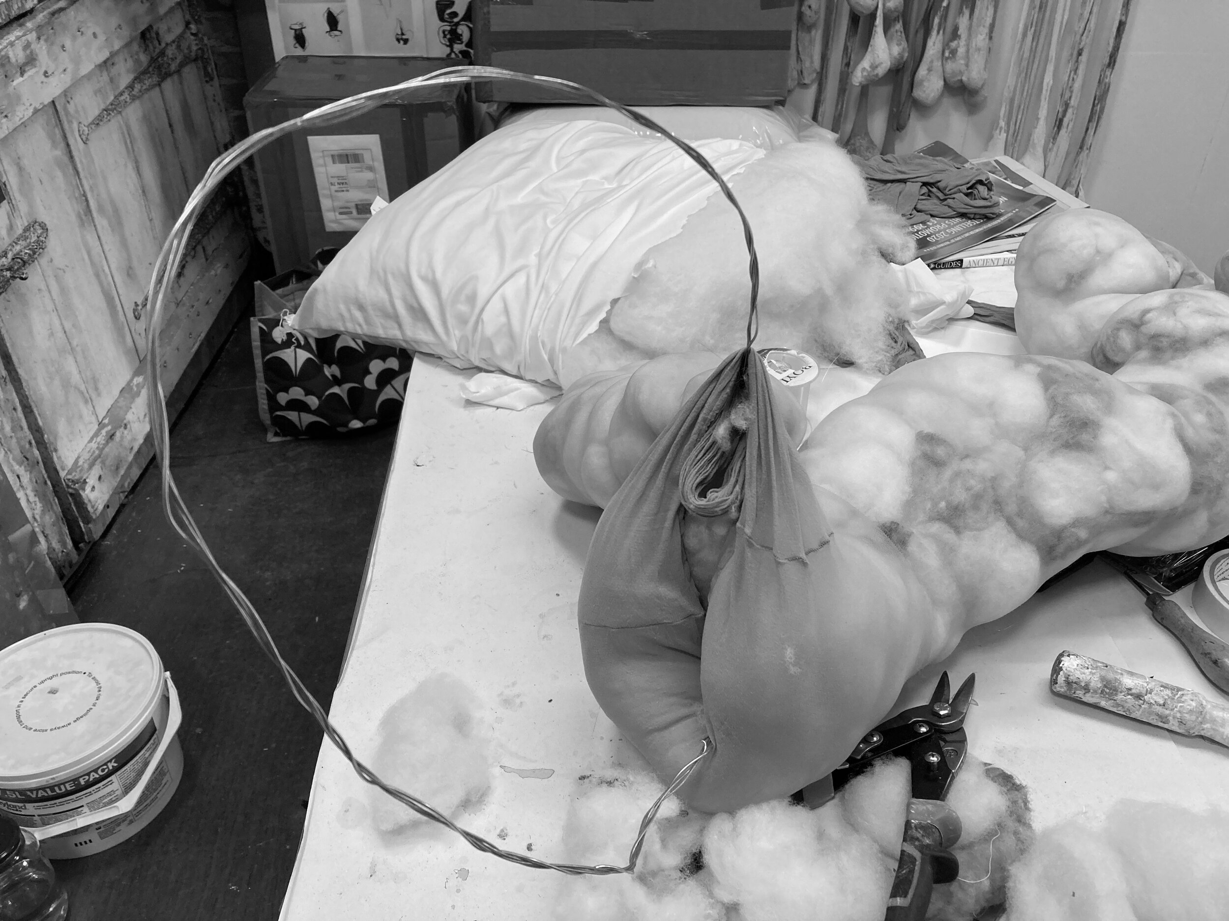 Lumpen in the making, studio shot
