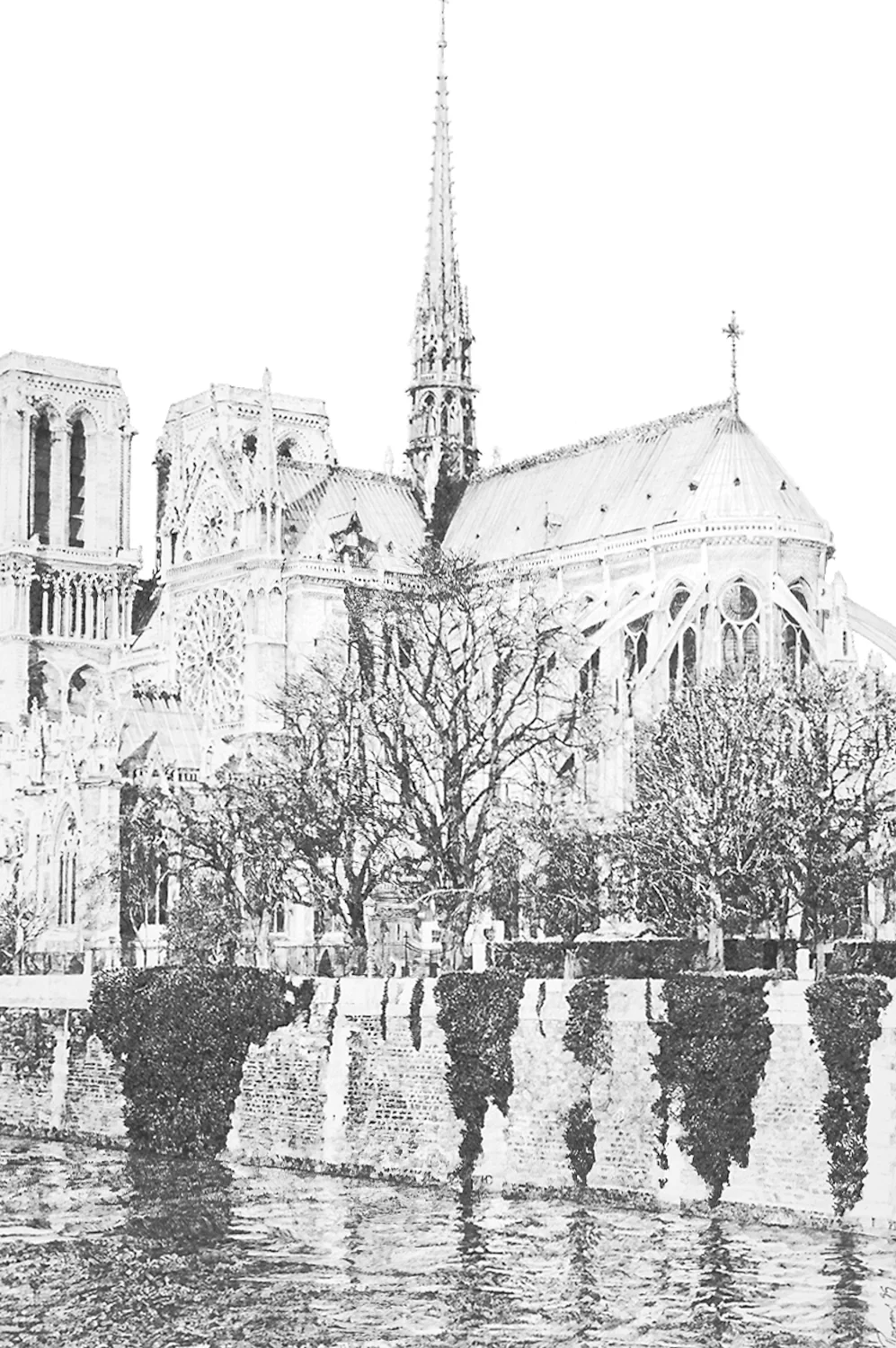 Notre Dame (Copy)
