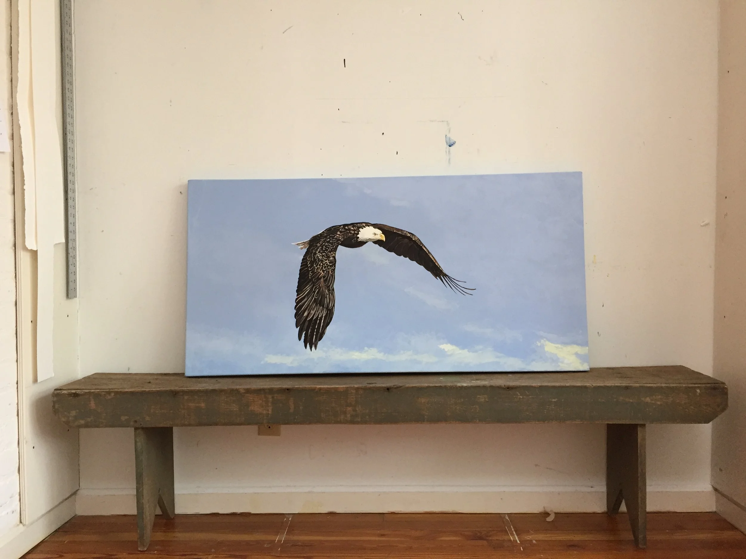 "Focused," oil/C, 24"x48" ready for varnish