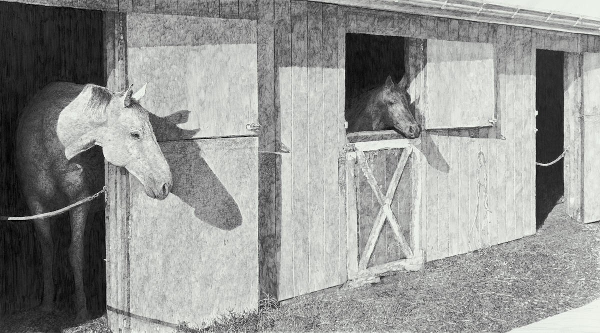 Goodie and Gene Graphite on paper, 24 x 30 inches, private commissioned work