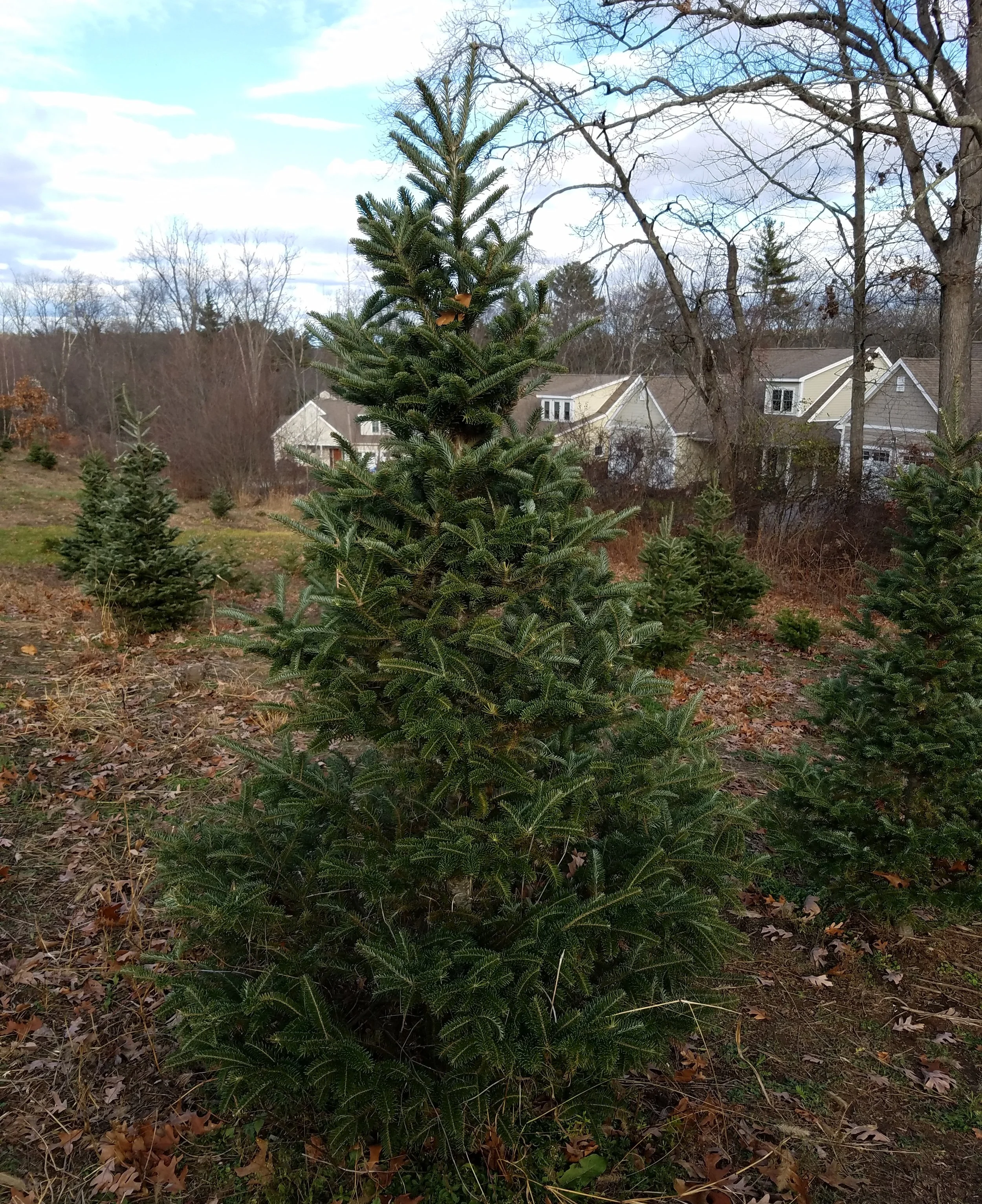 20161203_132822.jpg