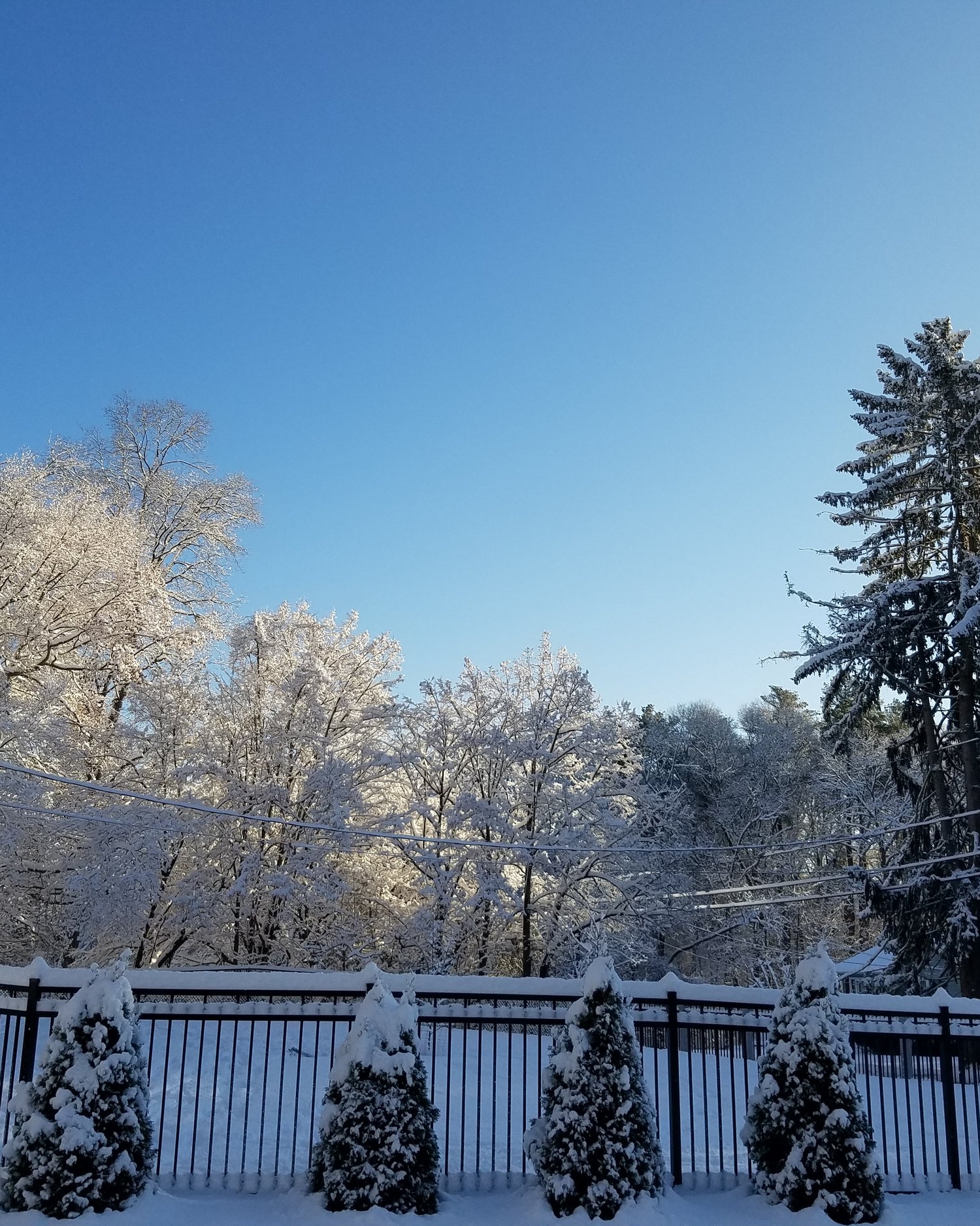 20180218_074915.jpg