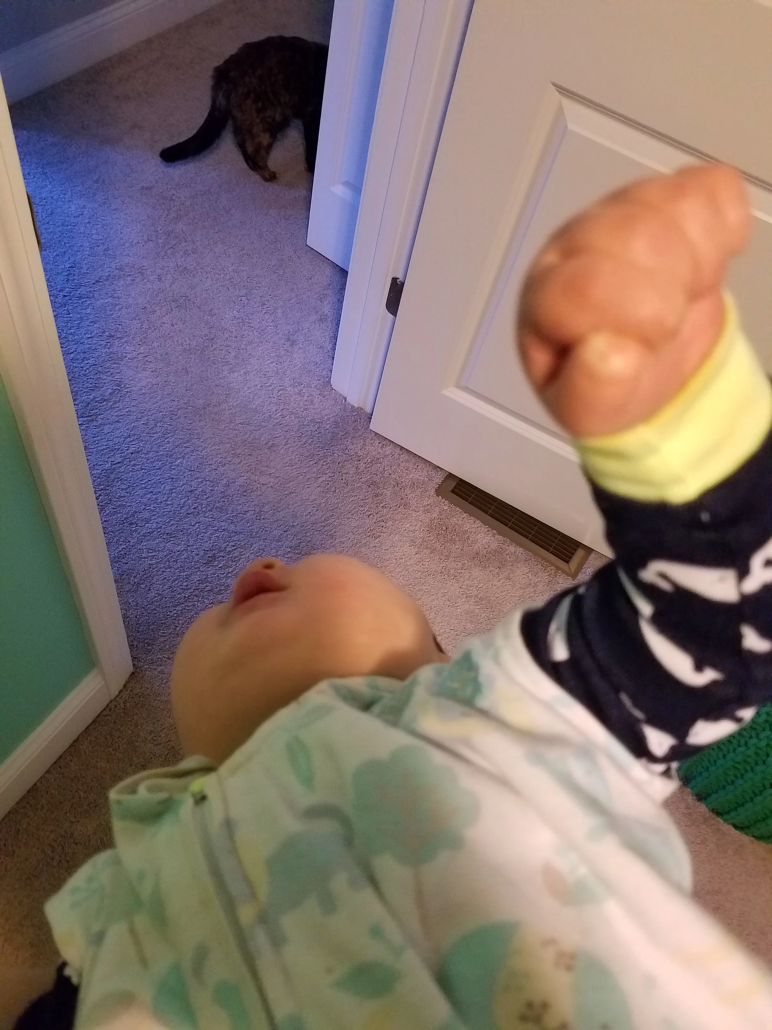 20180218_151407.jpg