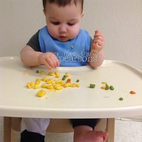 Baby Led Weaning.jpg