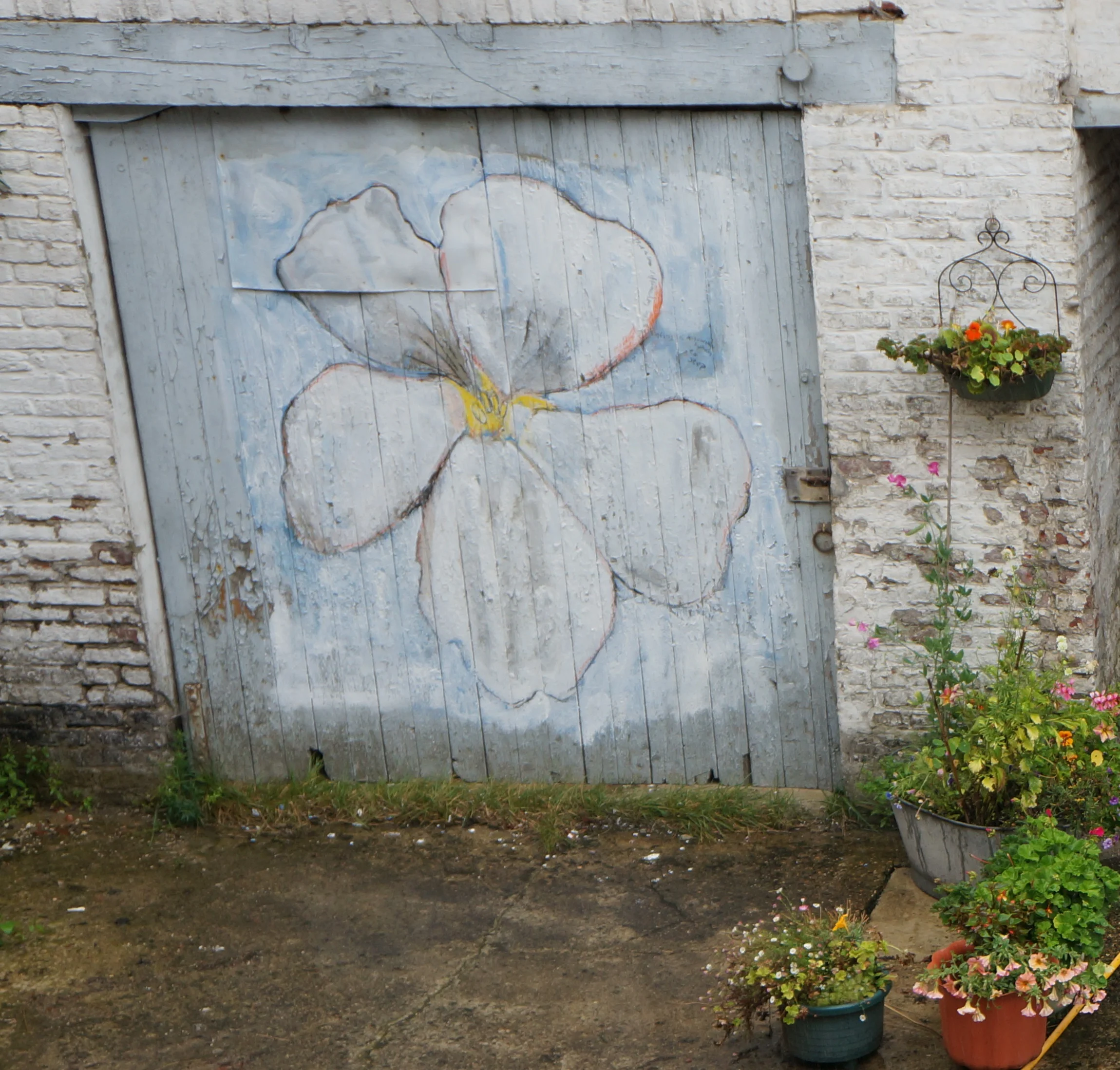 courtyard flower.jpg