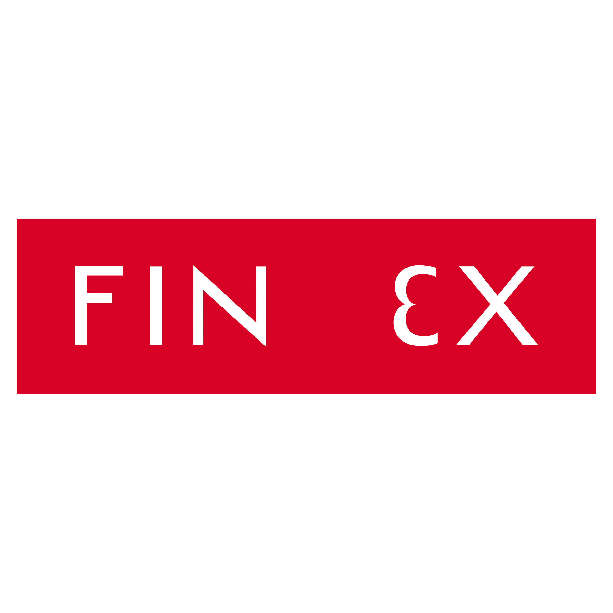 FIN EX.jpg
