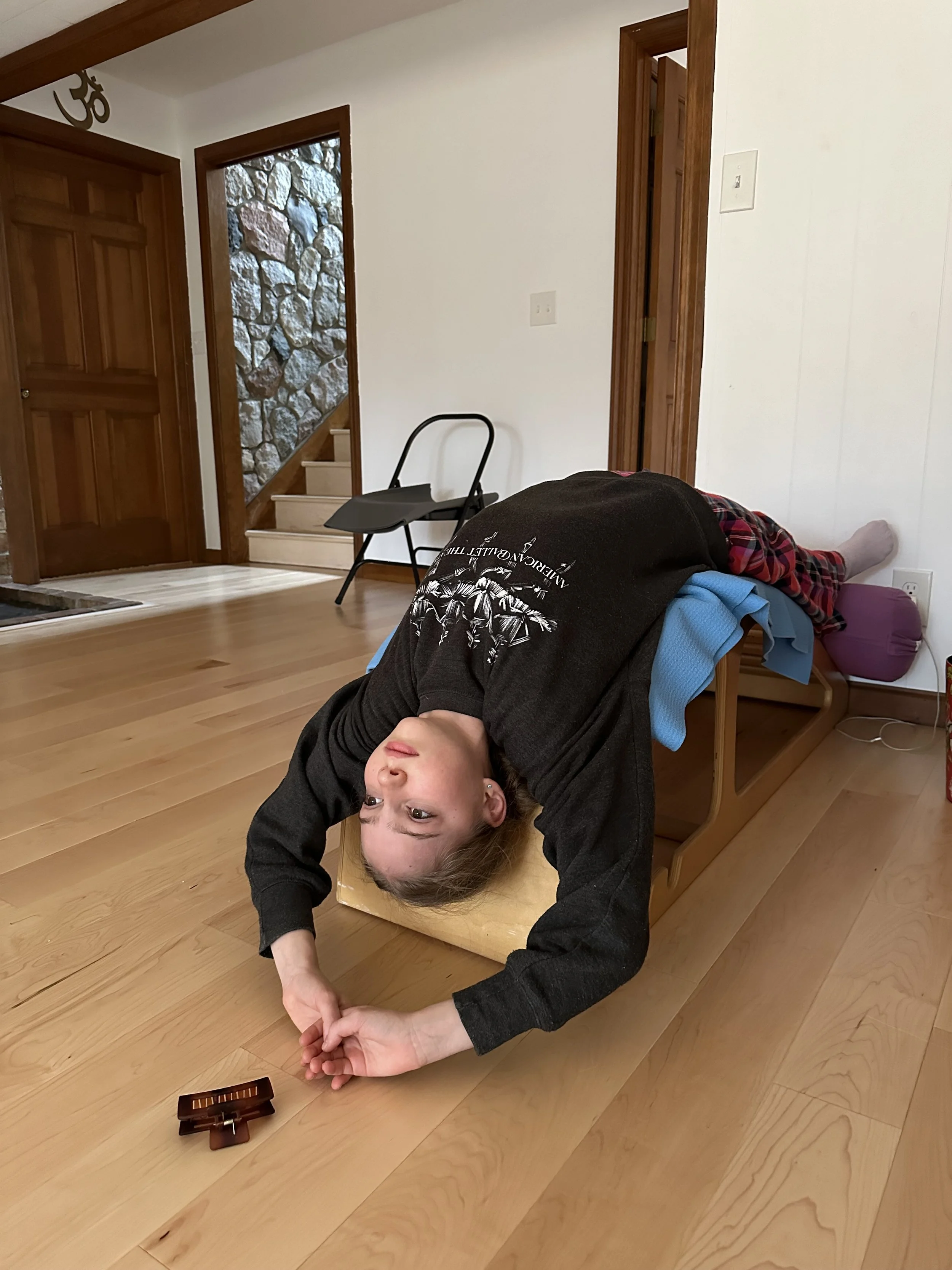 Private Lesson/Yoga Therapy