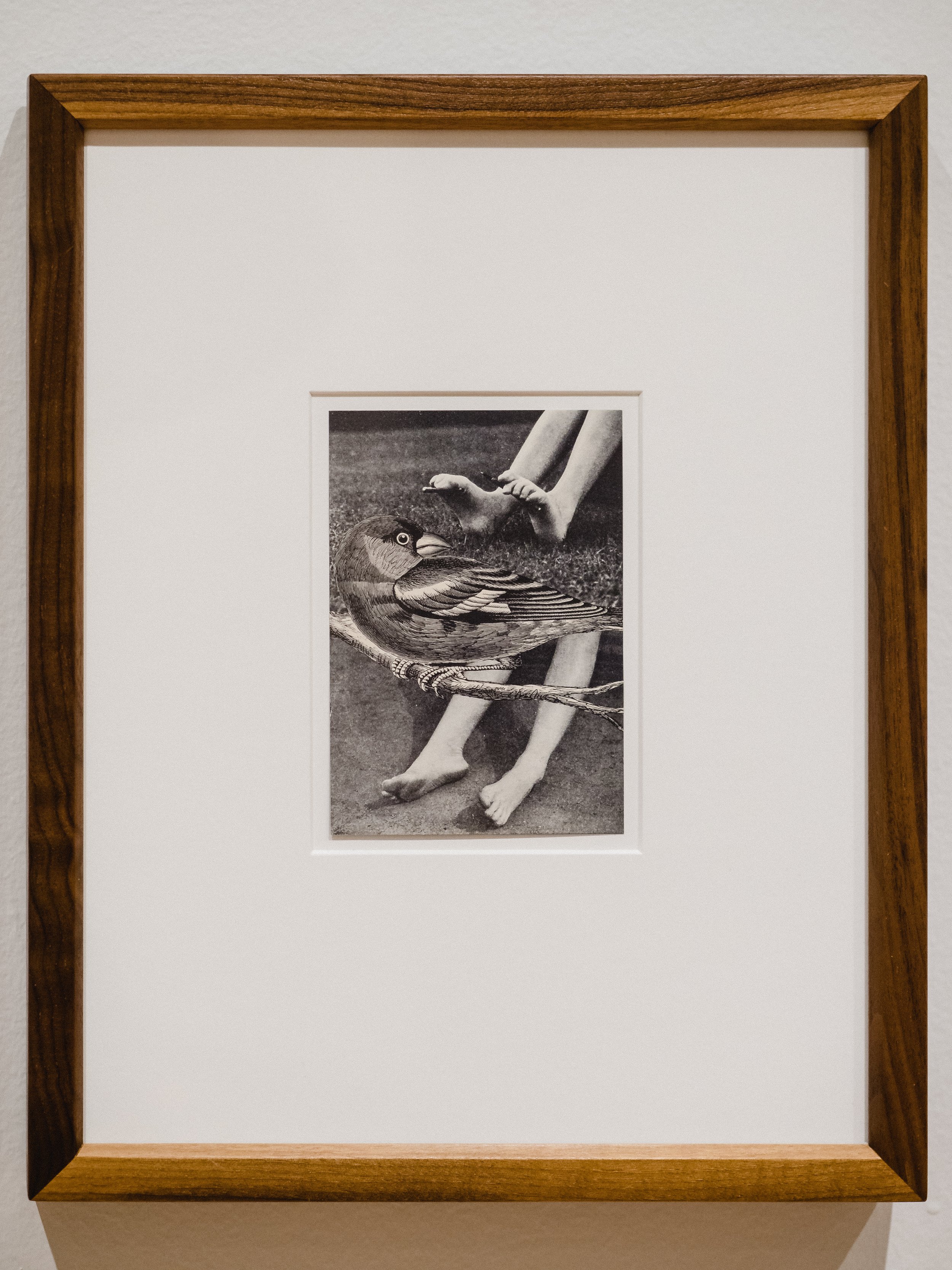  Marcia Herscovitz, Seven of Ten Collages (from S.M.S. No. 2), 1968, photocollage on paper, edition of 40. Purchase, George Taylor Richardson Memorial Fund, 1989. Photo: Tim Forbes