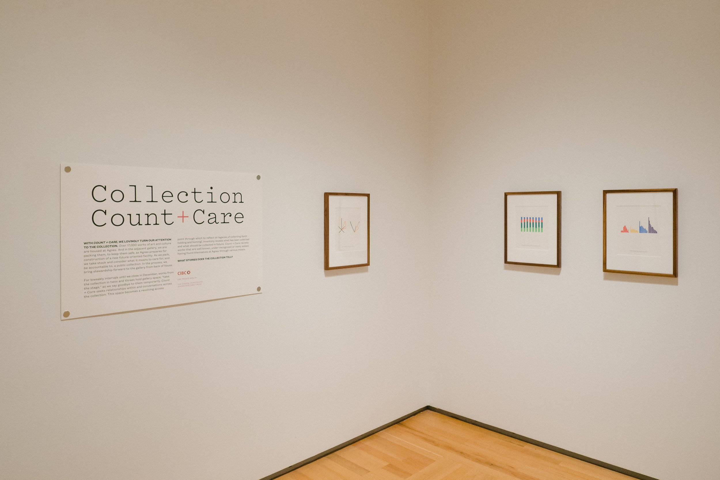 Installation view of Collection Count + Care with Richard Ibghy and Marilou Lemmens, General Idea, and Marcia Herscovitz. Photo: Tim Forbes