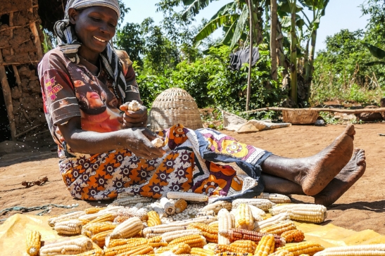 We spent two days in the field finding out how Give Directly is eradicating extreme poverty by giving away free cash. Read more...