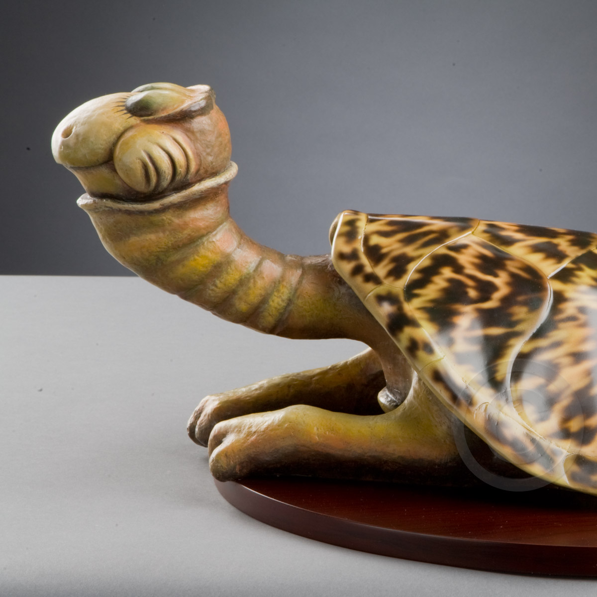 seaturtle3.jpg