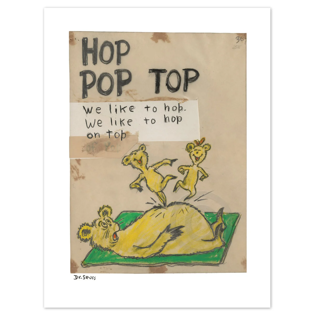 hoppoptop2.jpg