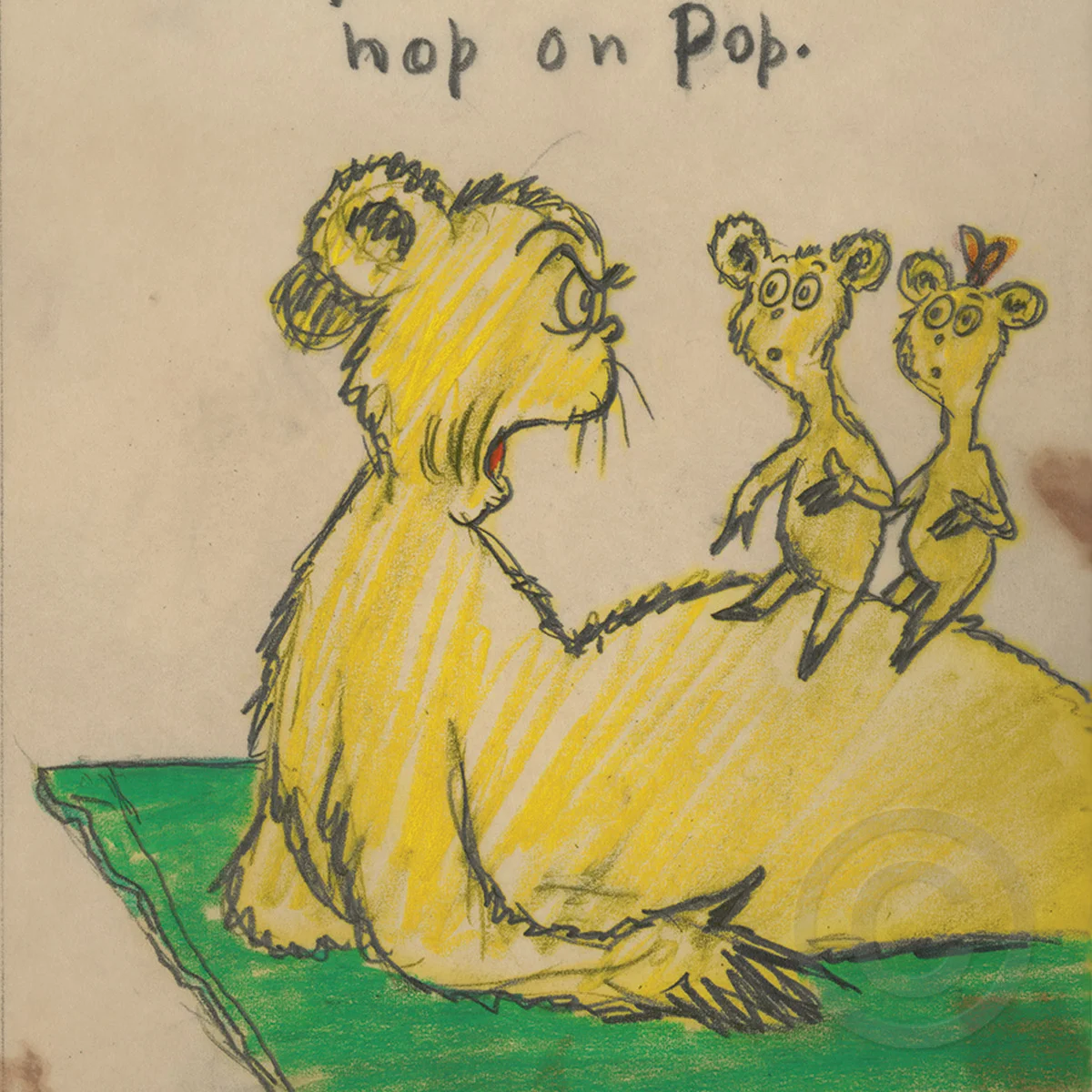 hoppoptop3.jpg