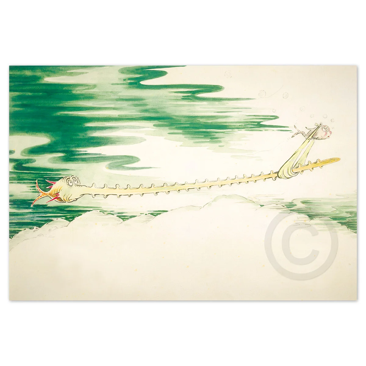 sawfish1.jpg