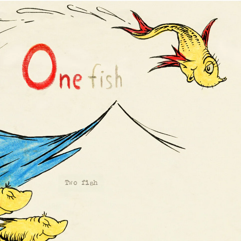 OneFish detail1a.jpg