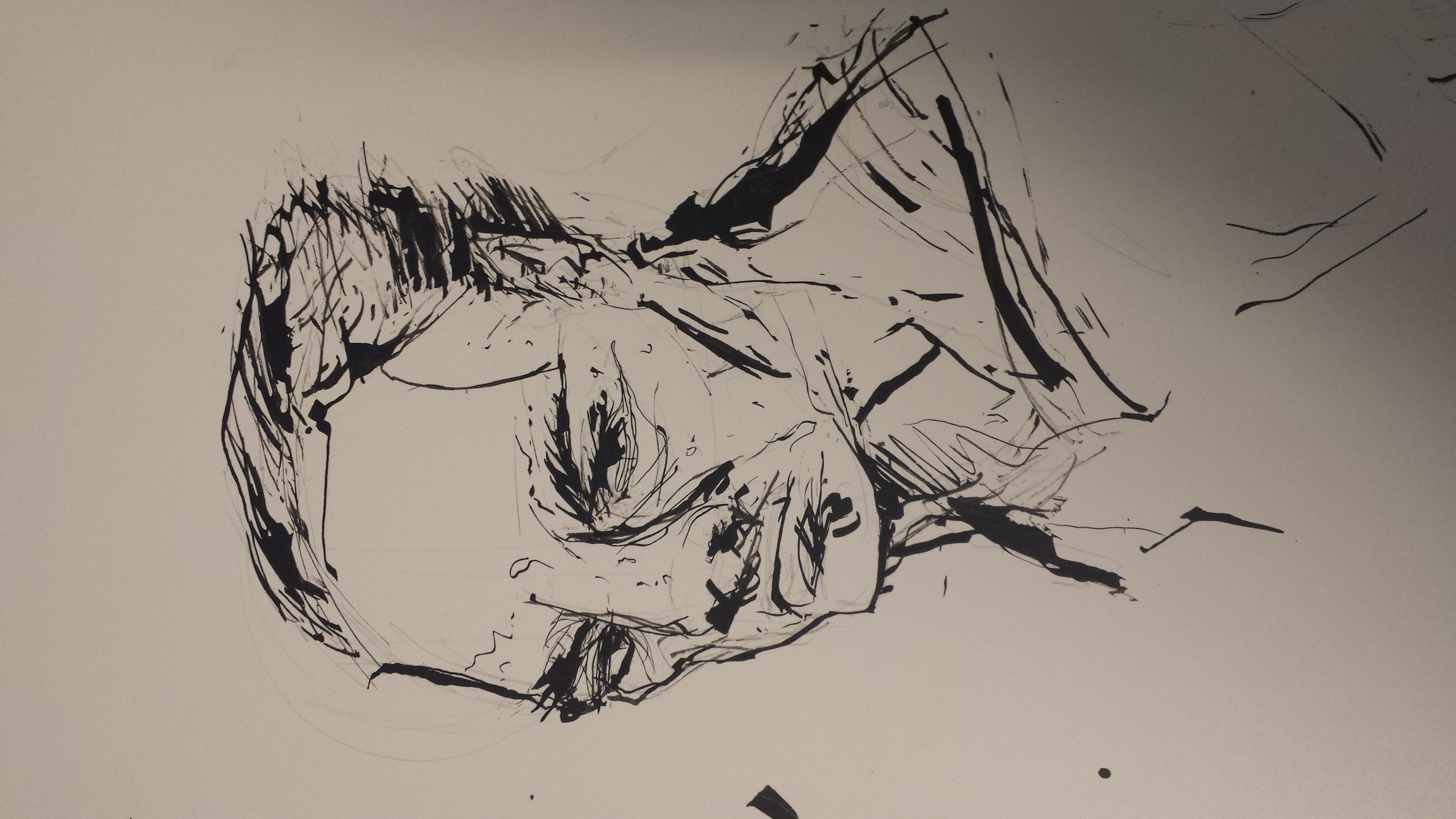 20140424_201113.jpg