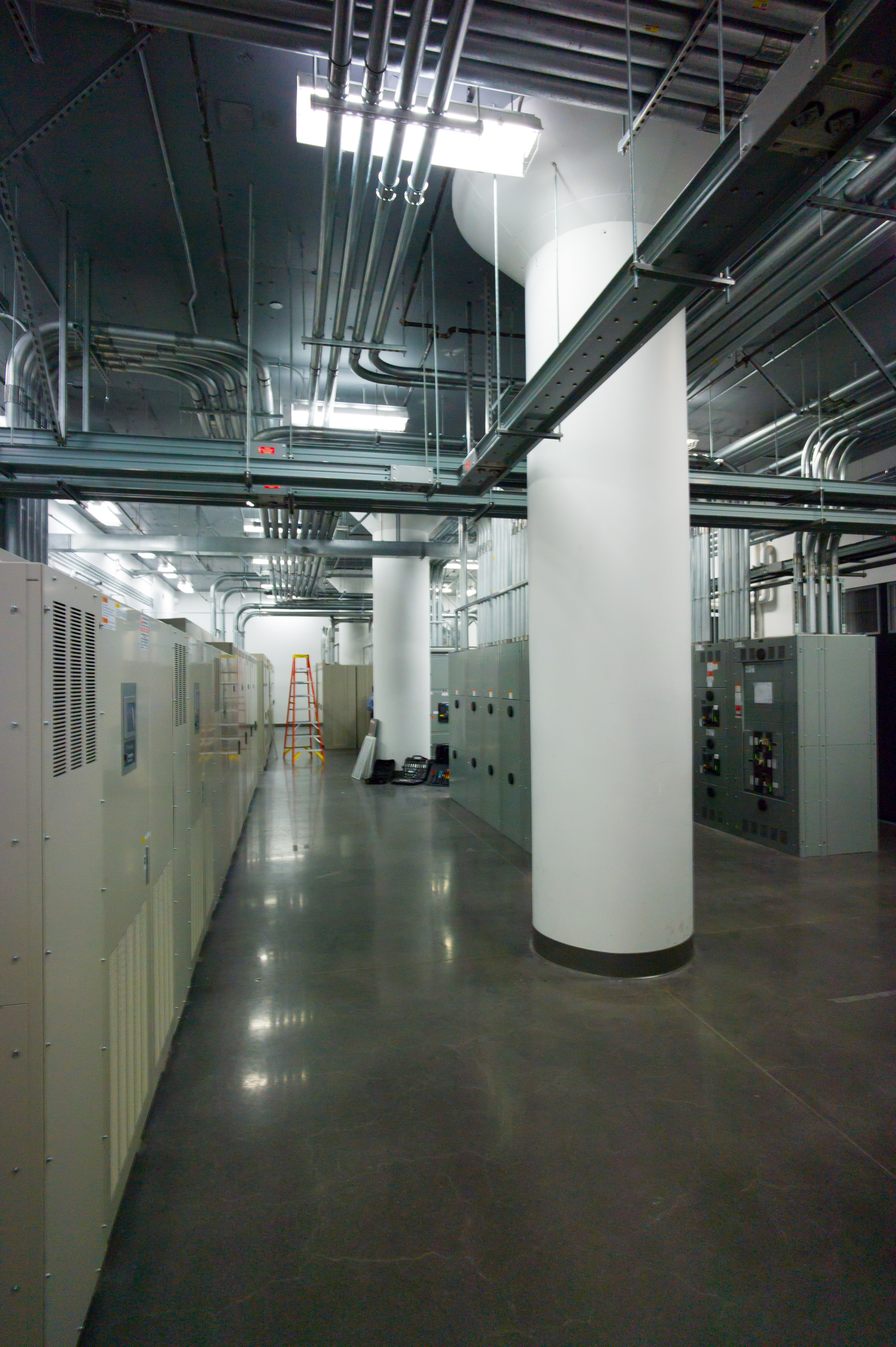 L1003419.jpg