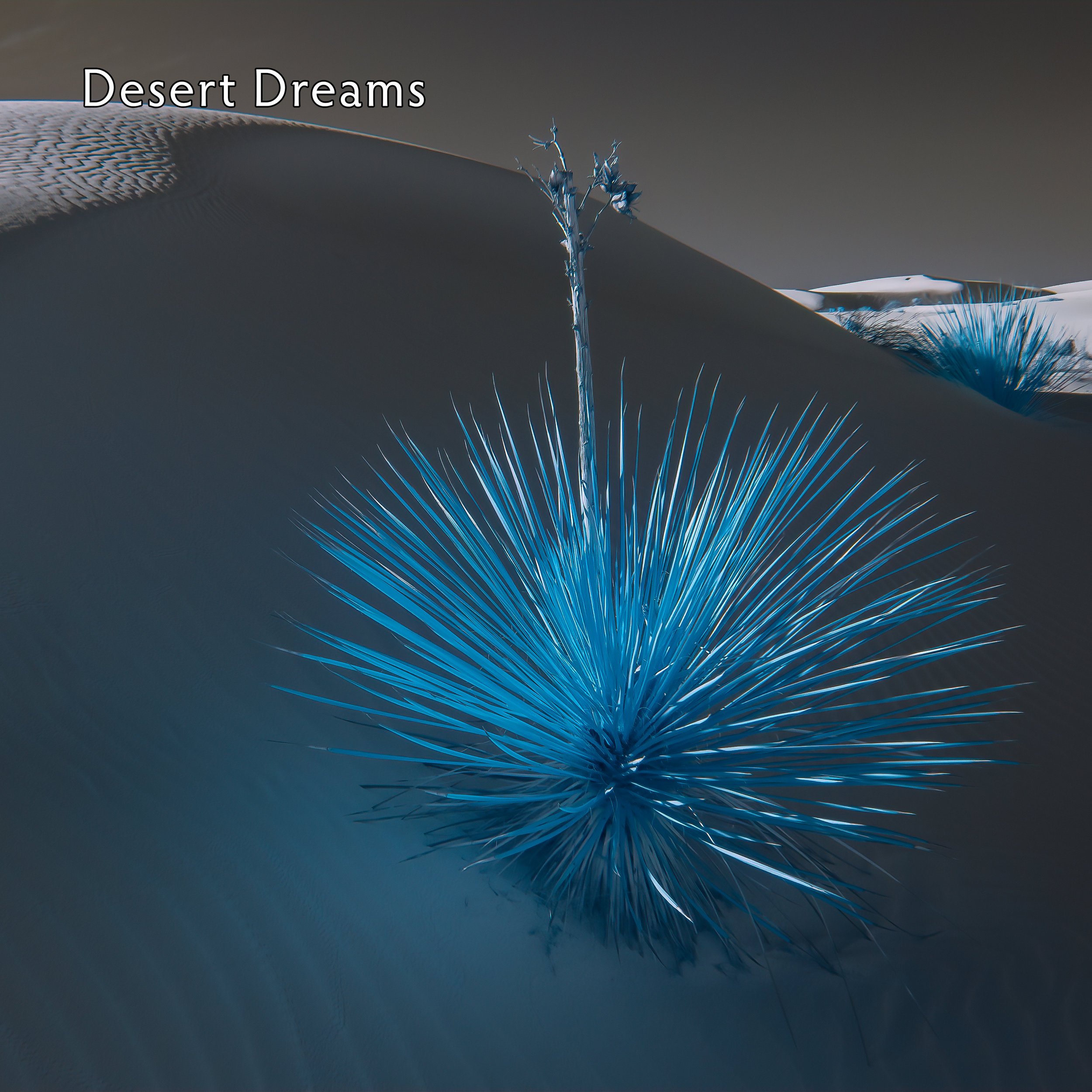 Desert Dreams (IR)