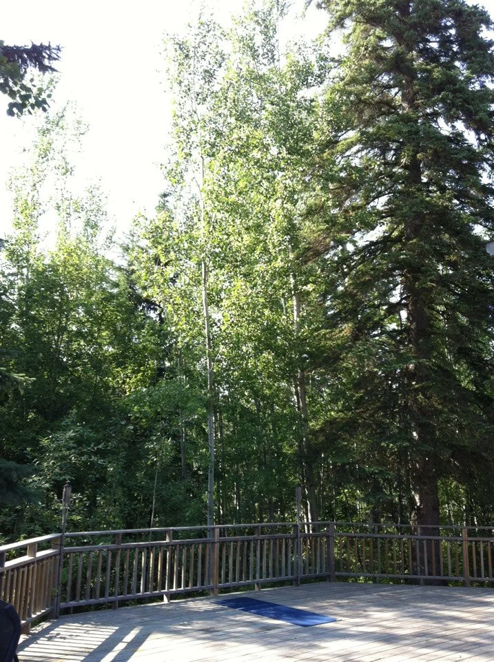 deck pic 1.jpg