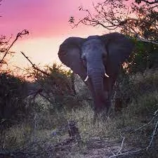 New Session &amp; Free 7 Day Move &amp; Meditate Challenge