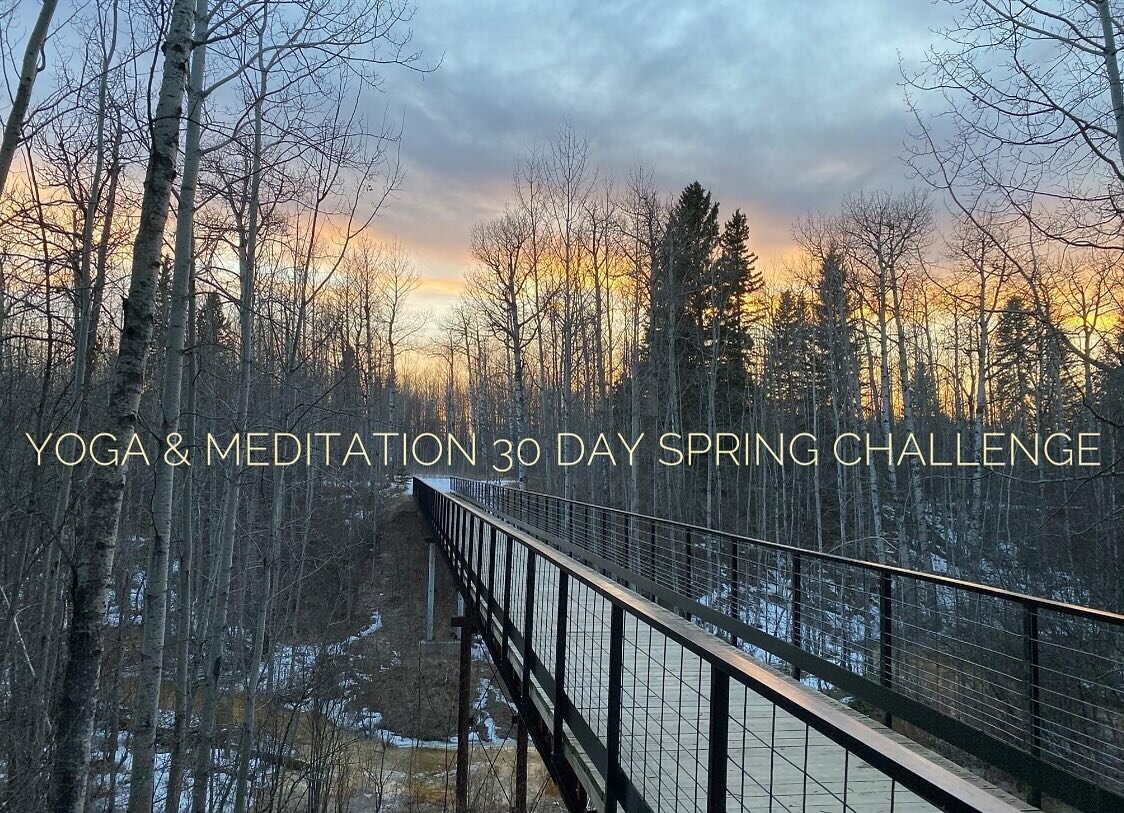 Yoga &amp; Meditation 30 Day Spring Challenge! 🌷 

Start your days rejuvenated by taking time for you! Reset your nervous system from daily stress. In this challenge you will be able to experience both yoga and meditation classes from special guest 