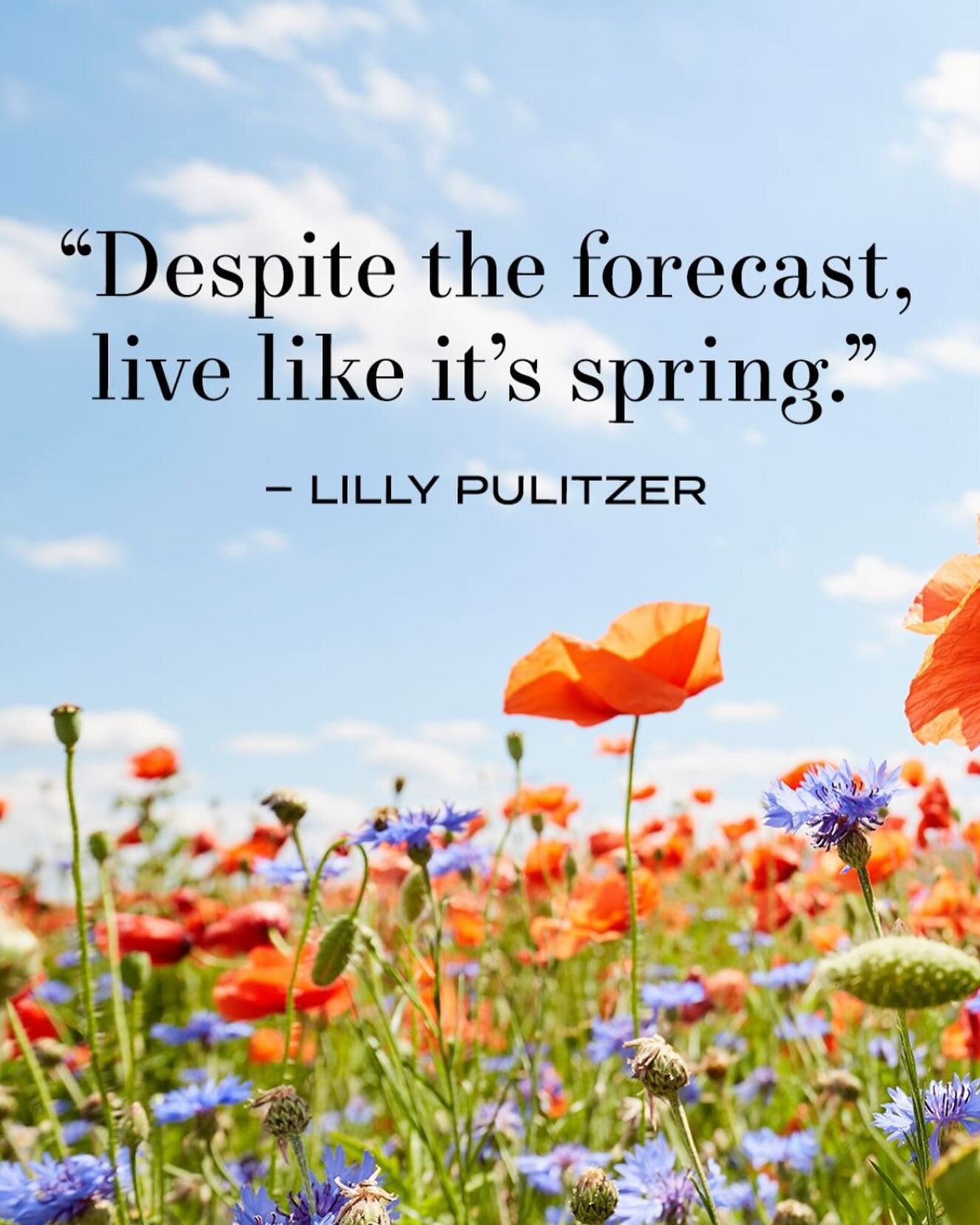A great reminder!✨☀️✨

#livelikeitsspring #springisonitsway #hopebeneaththesnow