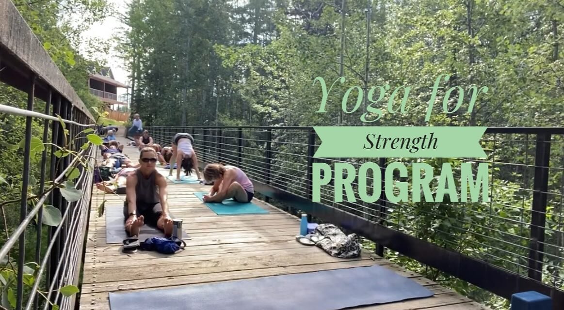 Yoga for Strength Program💪
Start date: Monday April 15 or choose your own start date! 

The classes in this program are focused on building overall strength with activating fascia lines, core work, using body weight as resistance, improving balance 